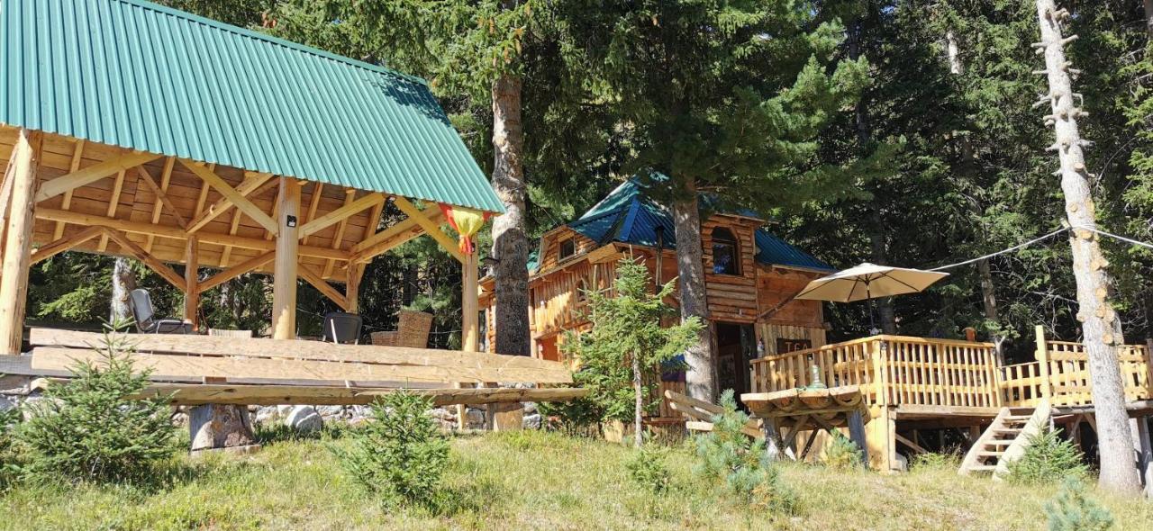 Pinetrees Lodge Plav Exterior photo