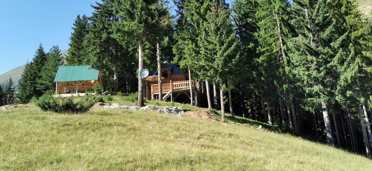Pinetrees Lodge Plav Exterior photo